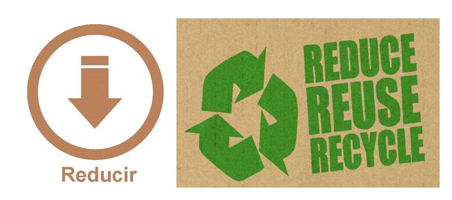 Biodegradación ¿Qué es y por qué es tan importante? | Ecología Hoy