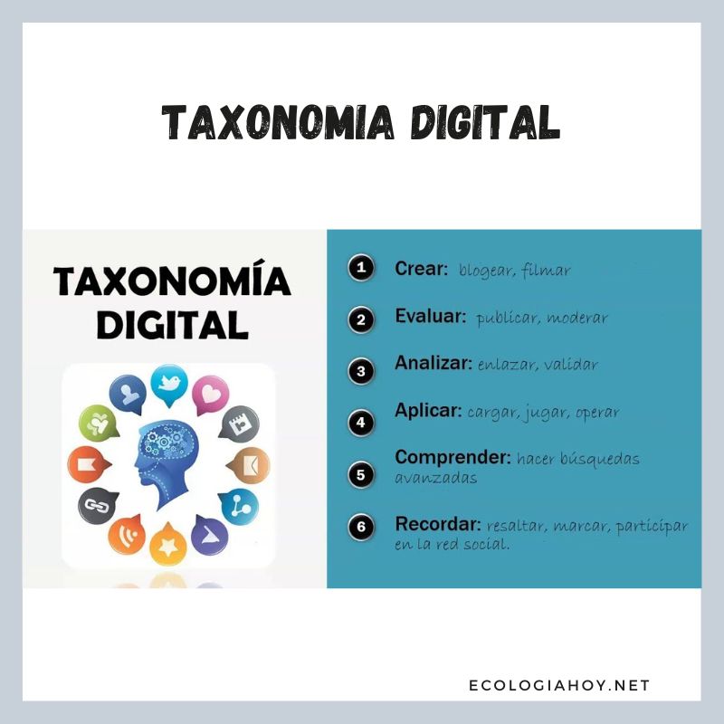 Taxonomia Qu Es Ejemplos Y Tipos Ecolog A Hoy