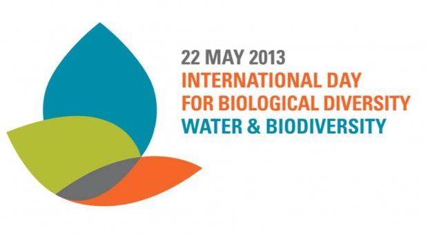 biodiv20130520_Dia_Mundial_diversidad_biologica