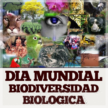 biodivdia_mundial_biodiversidad