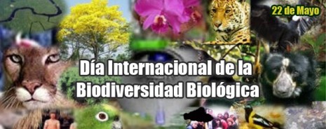 biodiversidad