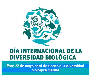 Dia-Internacional-de-la-Diversidad-Biologica