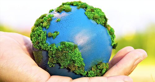 mediodia-mundial-del-medio-ambiente