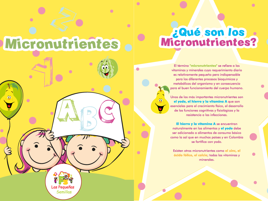 micronutrientes_big