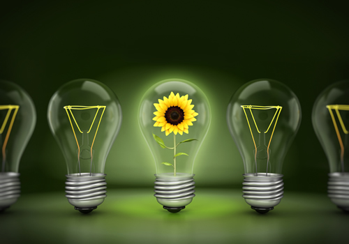eficiencia y conservacion de energia en el hogar imagen de flor en bombilla