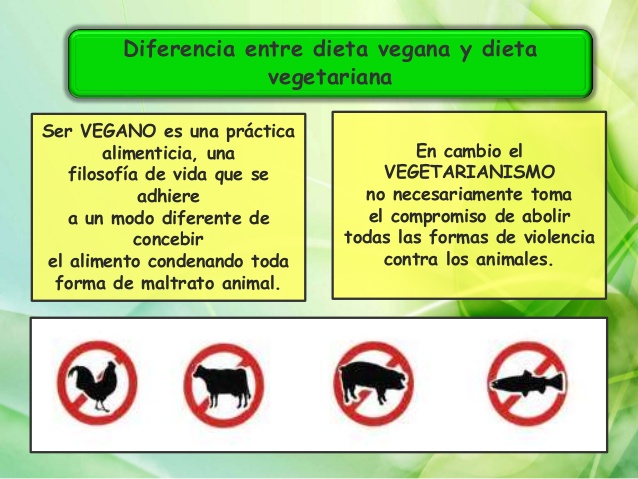 veganopower-vegetariano-2013-8-638