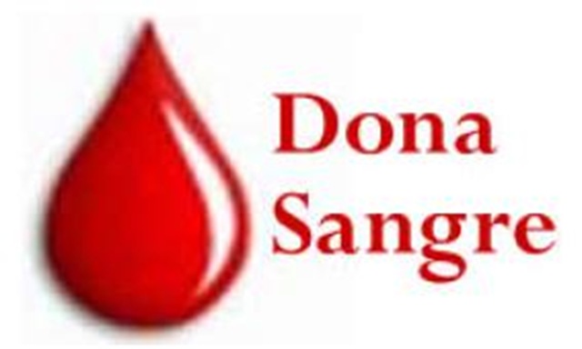 donar-sangre-segura1