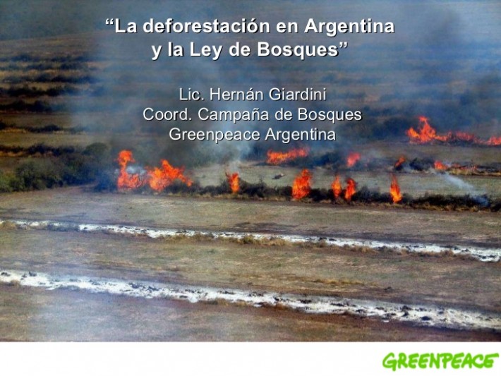la-deforestacin-en-argentina-y-la-ley-de-bosques-1-728