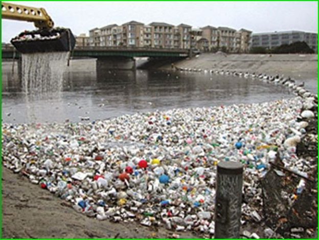 Contaminacion Ambiental Efectos Seres Vivosimage008 Ecología Hoy 0599