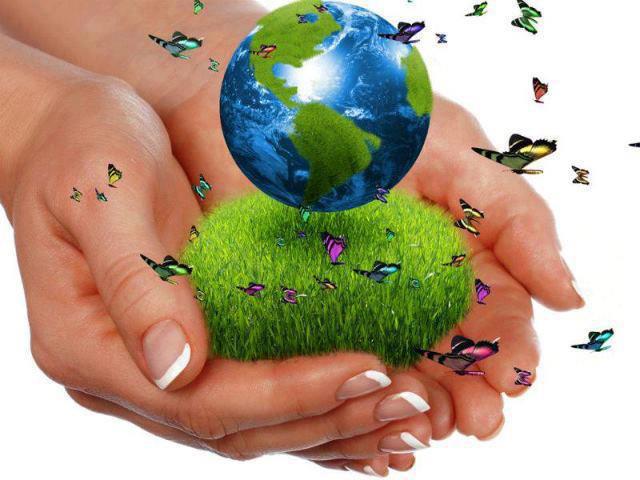 viernes Gracias alcanzar Ramas de la ecología: Nivel de organización de la ecología | Ecología Hoy