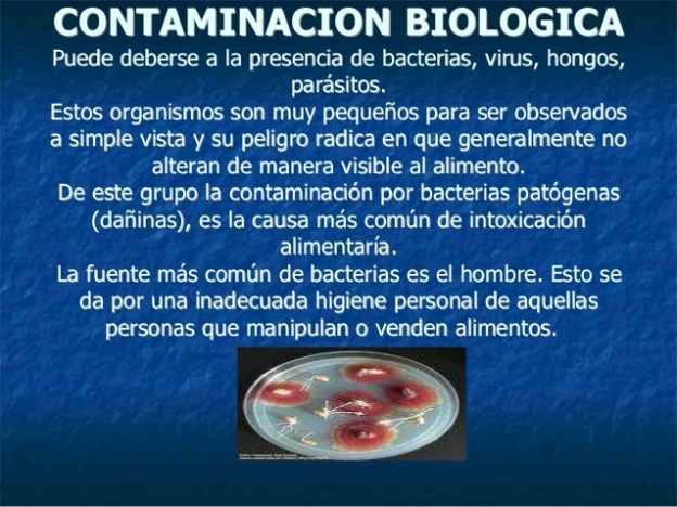 Contaminación Biológica Ecología Hoy 5660