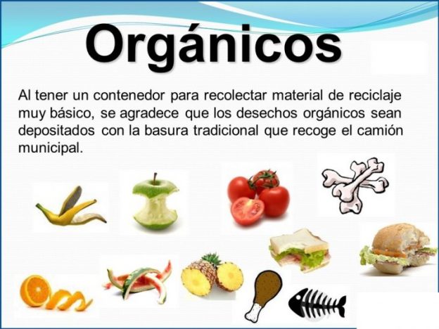 Basura Orgánica: Qué es, Ejemplos de Residuos Orgánicos | Ecología Hoy