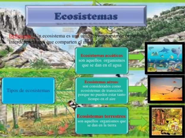 Qué Es Un Ecosistema Ejemplos Tipos Y Características De Ecosistemas Ecología Hoy 