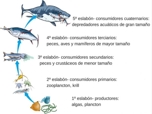 productores | Ecología Hoy