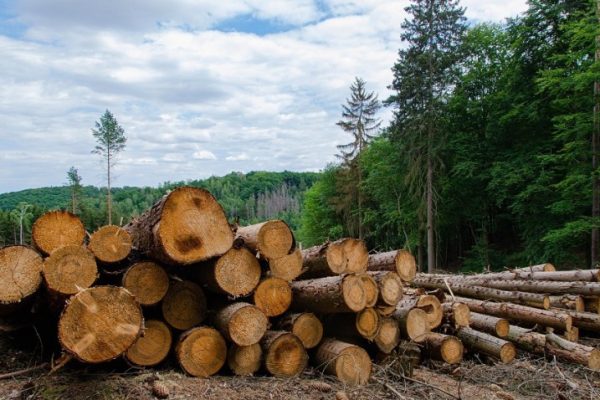 sobreexplotación de los recursos naturales y sus consecuencias