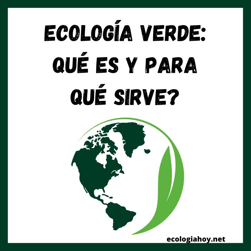 Ecología Verde: Qué Es Y Para Qué Sirve? | Ecología Hoy